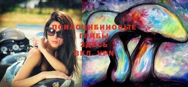 mix Арсеньев