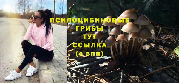PSILOCYBIN Армянск